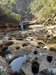 P3180450a.jpg